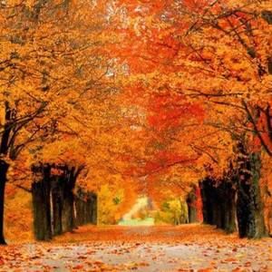 Meet your Posher, Gloria